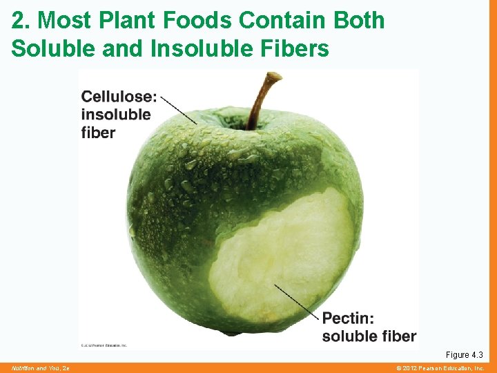 2. Most Plant Foods Contain Both Soluble and Insoluble Fibers Figure 4. 3 Nutrition