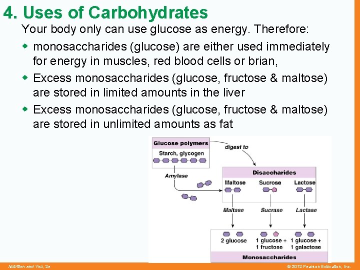 4. Uses of Carbohydrates Your body only can use glucose as energy. Therefore: w