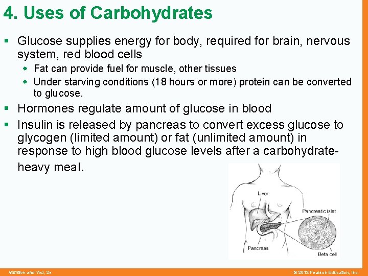 4. Uses of Carbohydrates § Glucose supplies energy for body, required for brain, nervous