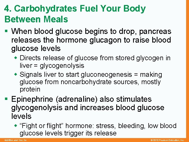 4. Carbohydrates Fuel Your Body Between Meals § When blood glucose begins to drop,