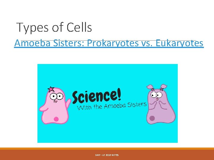 Types of Cells Amoeba Sisters: Prokaryotes vs. Eukaryotes SMP - LE 2016 NOTES 