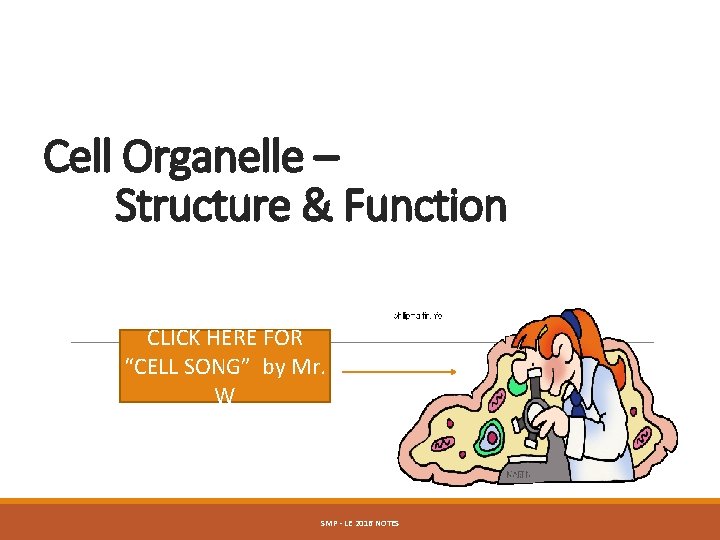 Cell Organelle – Structure & Function CLICK HERE FOR “CELL SONG” by Mr. W