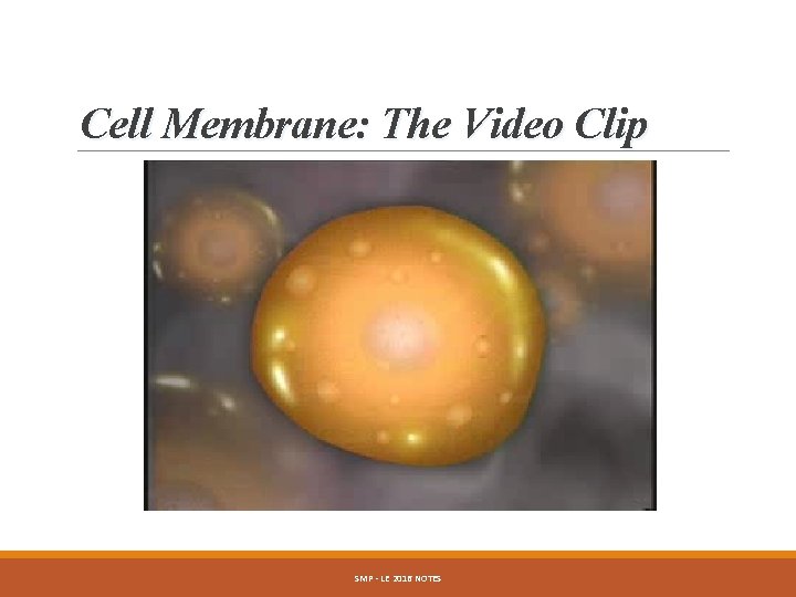 Cell Membrane: The Video Clip SMP - LE 2016 NOTES 