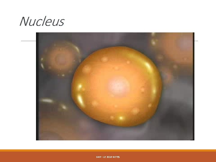 Nucleus SMP - LE 2016 NOTES 