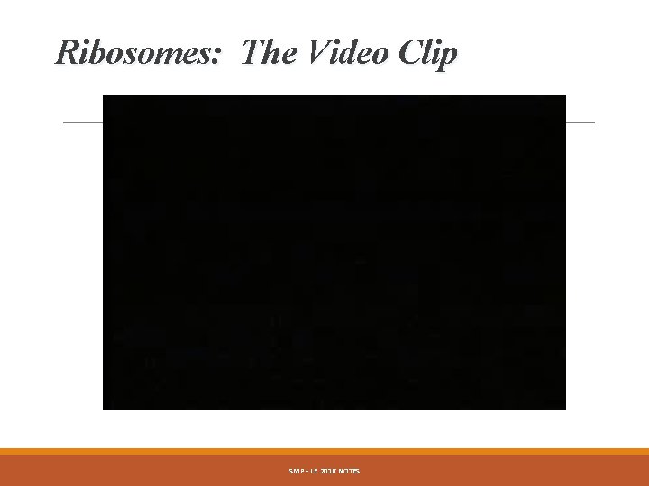 Ribosomes: The Video Clip SMP - LE 2016 NOTES 