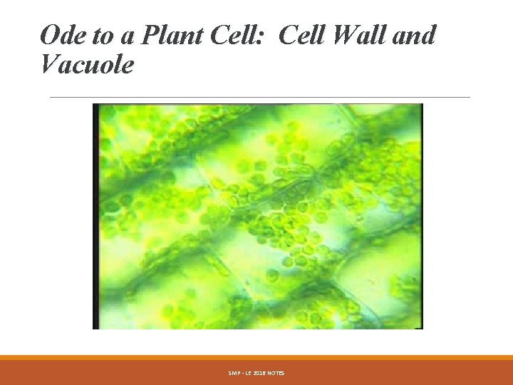 Ode to a Plant Cell: Cell Wall and Vacuole SMP - LE 2016 NOTES