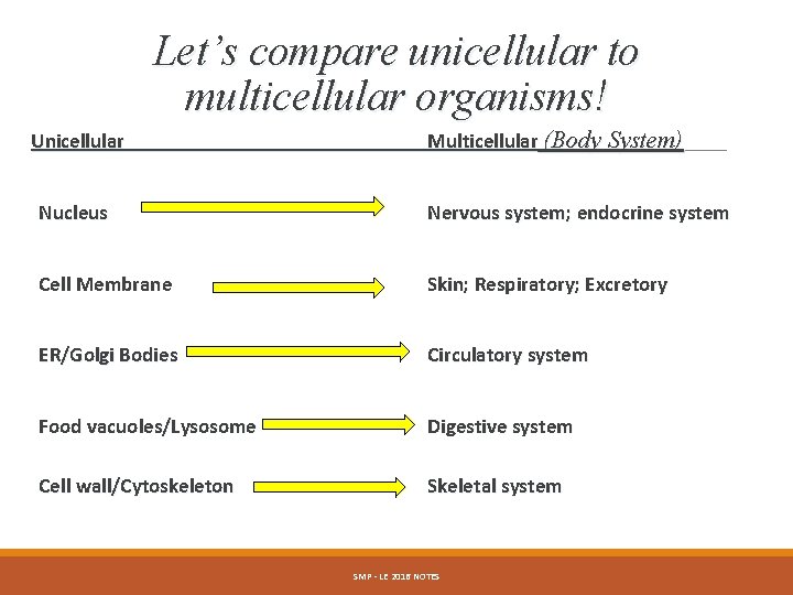 Let’s compare unicellular to multicellular organisms! Unicellular Multicellular (Body System) Nucleus Nervous system; endocrine