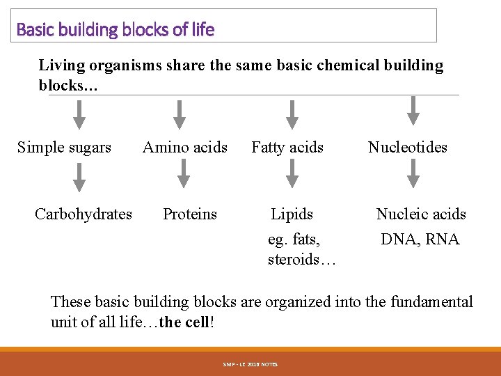 Basic building blocks of life Living organisms share the same basic chemical building blocks…