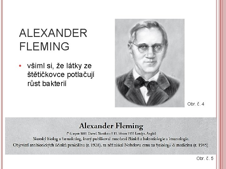 ALEXANDER FLEMING • všiml si, že látky ze štětičkovce potlačují růst bakterií Obr. č.