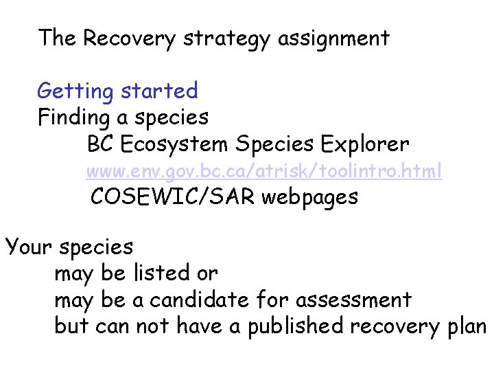 The Recovery strategy assignment Getting started Finding a species BC Ecosystem Species Explorer www.