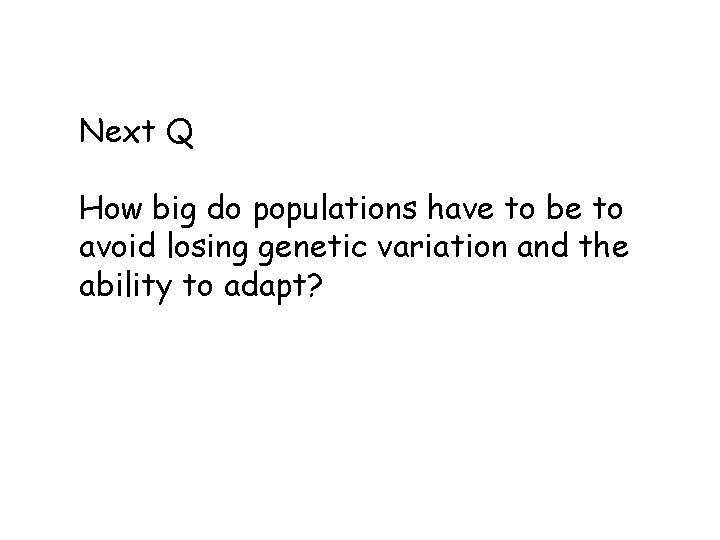Next Q How big do populations have to be to avoid losing genetic variation