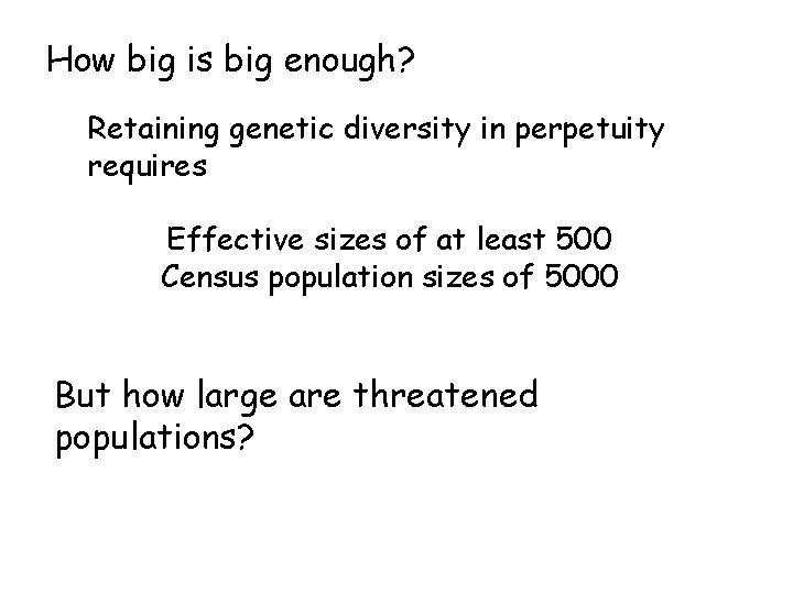 How big is big enough? Retaining genetic diversity in perpetuity requires Effective sizes of