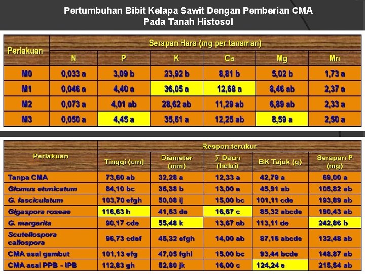 Pertumbuhan Bibit Kelapa Sawit Dengan Pemberian CMA Pada Tanah Histosol 