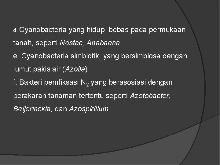 d. Cyanobacteria yang hidup bebas pada permukaan tanah, seperti Nostac, Anabaena e. Cyanobacteria simbiotik,