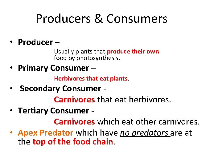 Producers & Consumers • Producer – Usually plants that produce their own food by