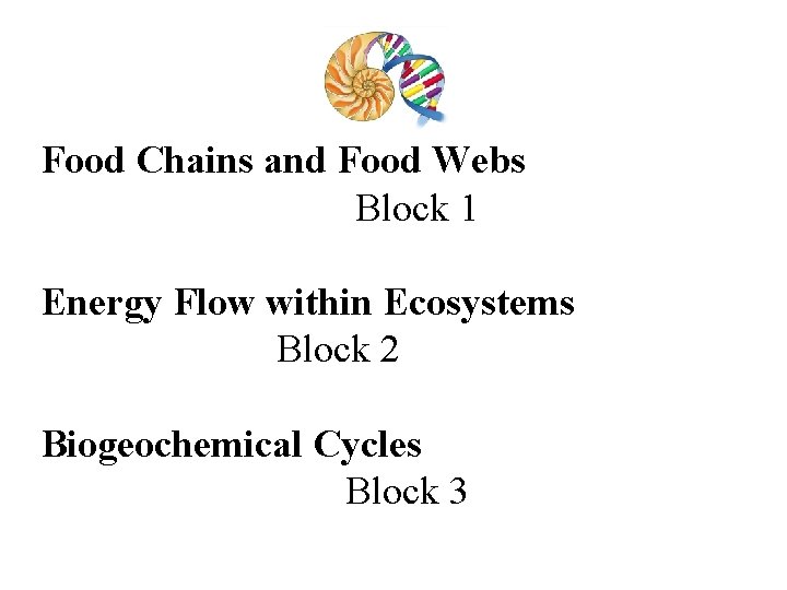 Food Chains and Food Webs Block 1 Energy Flow within Ecosystems Block 2 Biogeochemical