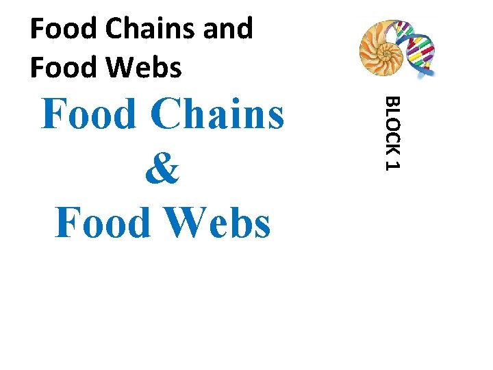 Food Chains and Food Webs 3 BLOCK 1 Food Chains & Food Webs 