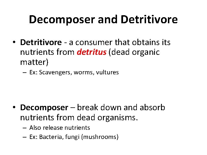 Decomposer and Detritivore • Detritivore - a consumer that obtains its nutrients from detritus