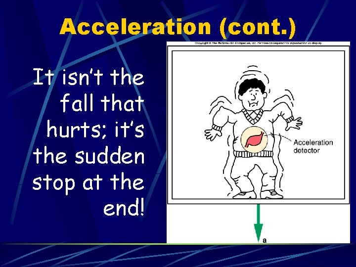 Acceleration (cont. ) It isn’t the fall that hurts; it’s the sudden stop at