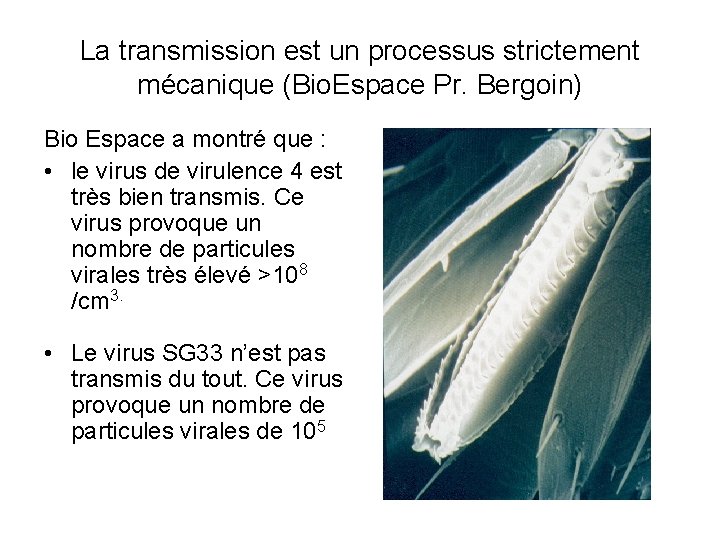 La transmission est un processus strictement mécanique (Bio. Espace Pr. Bergoin) Bio Espace a