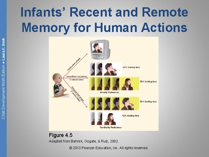 Child Development Ninth Edition ● Laura E. Berk Infants’ Recent and Remote Memory for
