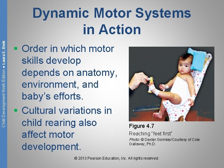 Child Development Ninth Edition ● Laura E. Berk Dynamic Motor Systems in Action §