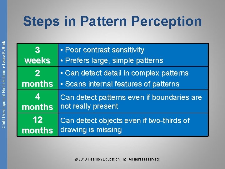 Child Development Ninth Edition ● Laura E. Berk Steps in Pattern Perception 3 weeks