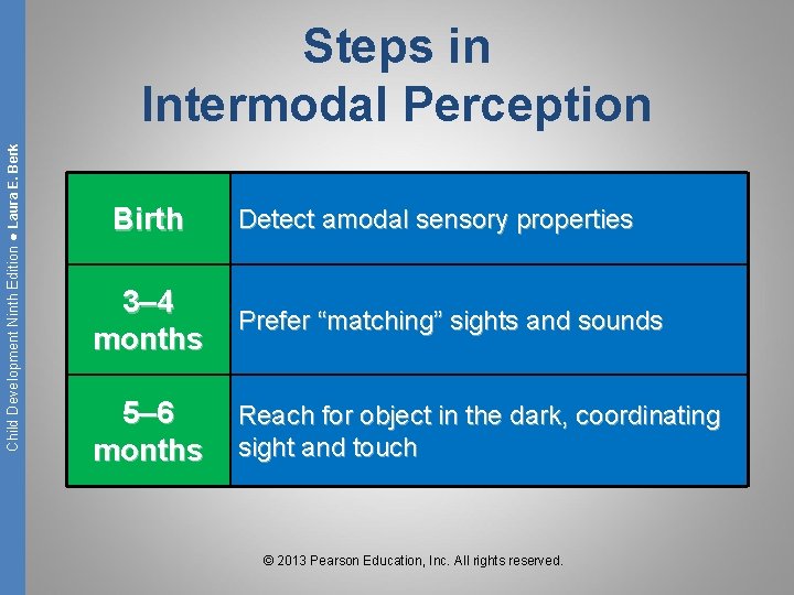 Child Development Ninth Edition ● Laura E. Berk Steps in Intermodal Perception Birth Detect