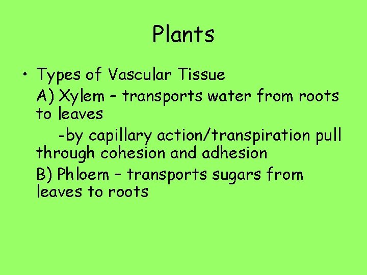 Plants • Types of Vascular Tissue A) Xylem – transports water from roots to