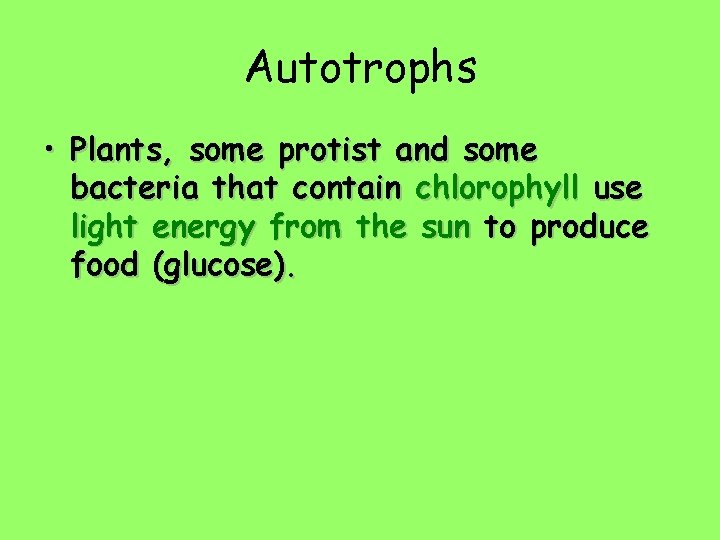 Autotrophs • Plants, some protist and some bacteria that contain chlorophyll use light energy