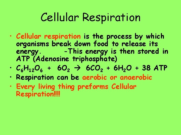 Cellular Respiration • Cellular respiration is the process by which organisms break down food