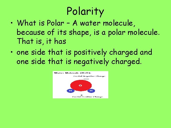 Polarity • What is Polar – A water molecule, because of its shape, is