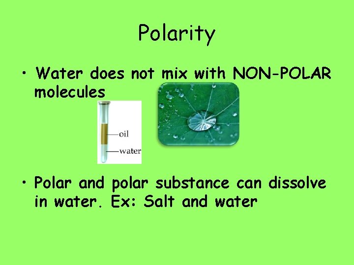 Polarity • Water does not mix with NON-POLAR molecules • Polar and polar substance