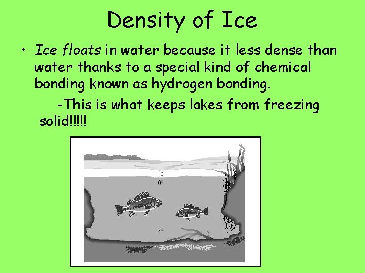 Density of Ice • Ice floats in water because it less dense than water