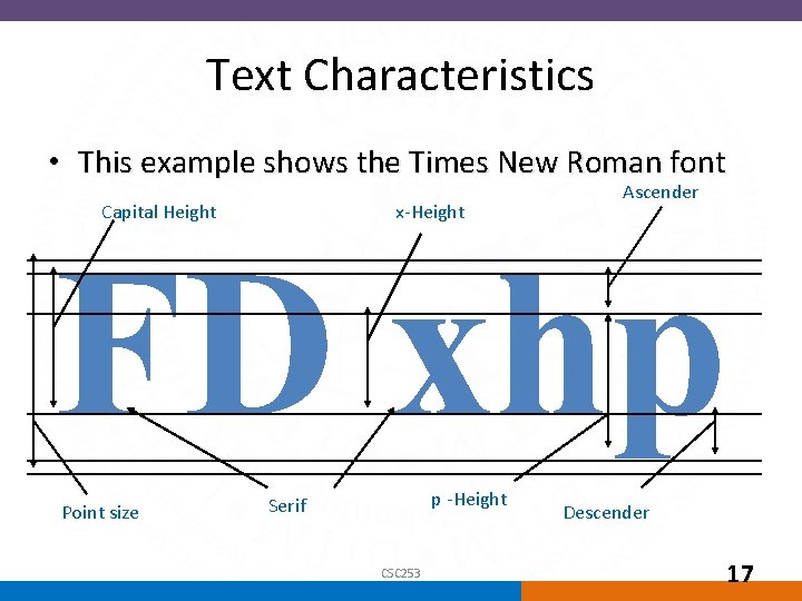 Text Characteristics • This example shows the Times New Roman font Capital Height x-Height