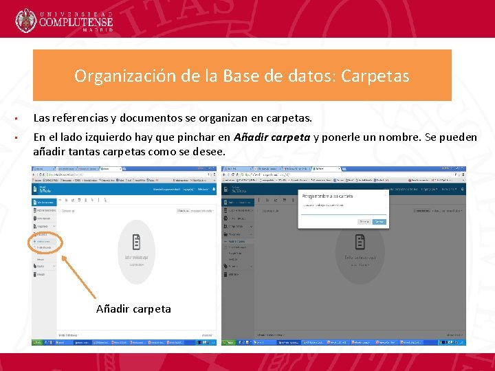 Organización de la Base de datos: Carpetas • Las referencias y documentos se organizan
