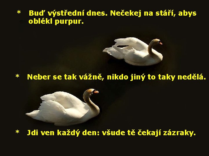 * Buď výstřední dnes. Nečekej na stáří, abys oblékl purpur. * Neber se tak