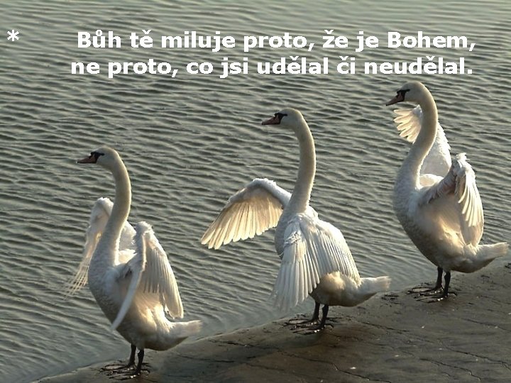 * Bůh tě miluje proto, že je Bohem, ne proto, co jsi udělal či