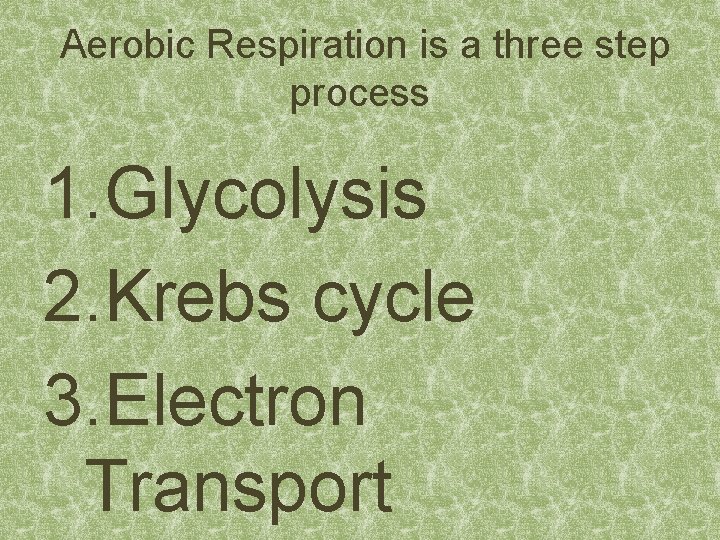 Aerobic Respiration is a three step process 1. Glycolysis 2. Krebs cycle 3. Electron