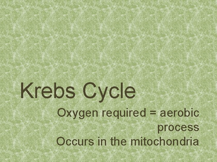 Krebs Cycle Oxygen required = aerobic process Occurs in the mitochondria 