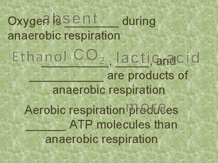 absent Oxygen is ____ during anaerobic respiration CO 2 lactic Ethanol acid _____, and
