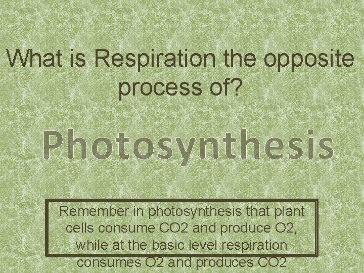 What is Respiration the opposite process of? Photosynthesis Remember in photosynthesis that plant cells