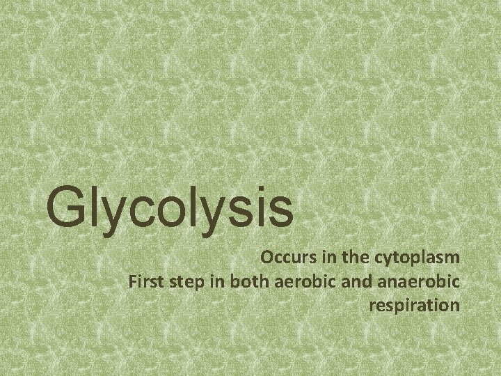 Glycolysis Occurs in the cytoplasm First step in both aerobic and anaerobic respiration 