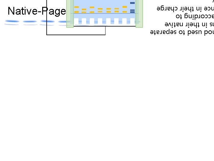 od used to separate s in their native ccording to ce in their charge