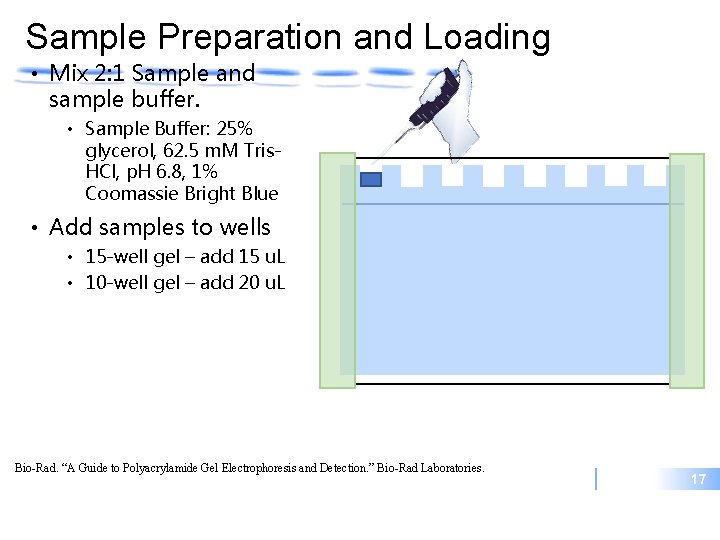 Sample Preparation and Loading • Mix 2: 1 Sample and sample buffer. • Sample
