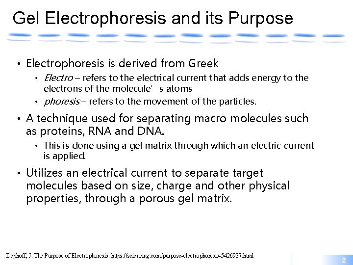 Gel Electrophoresis and its Purpose • Electrophoresis is derived from Greek • Electro –