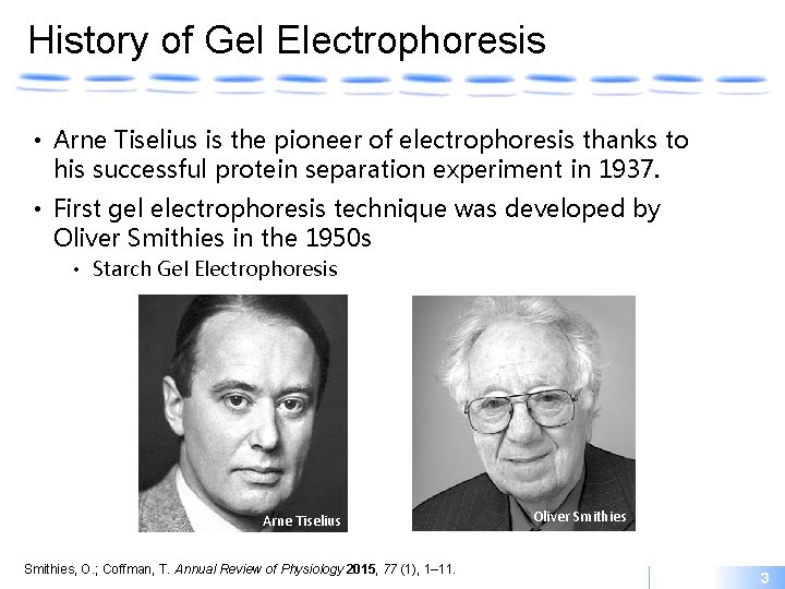 History of Gel Electrophoresis • Arne Tiselius is the pioneer of electrophoresis thanks to
