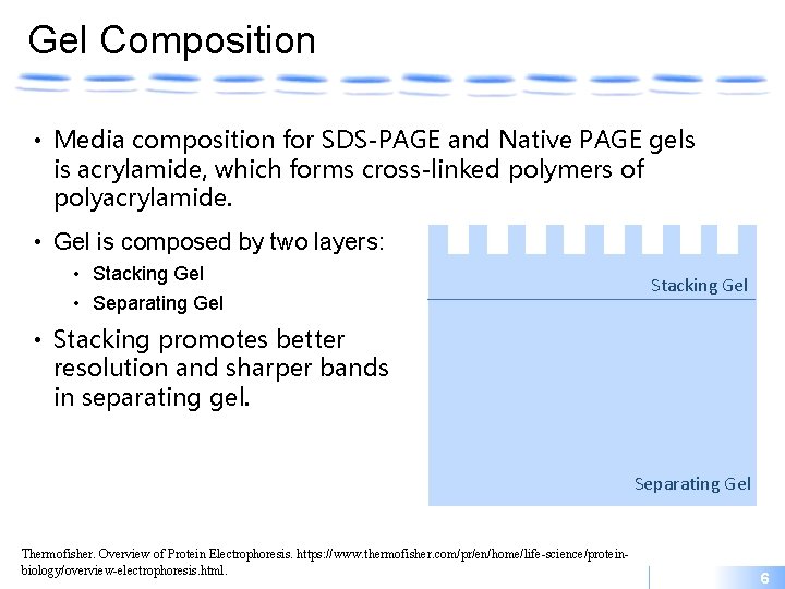 Gel Composition • Media composition for SDS-PAGE and Native PAGE gels is acrylamide, which