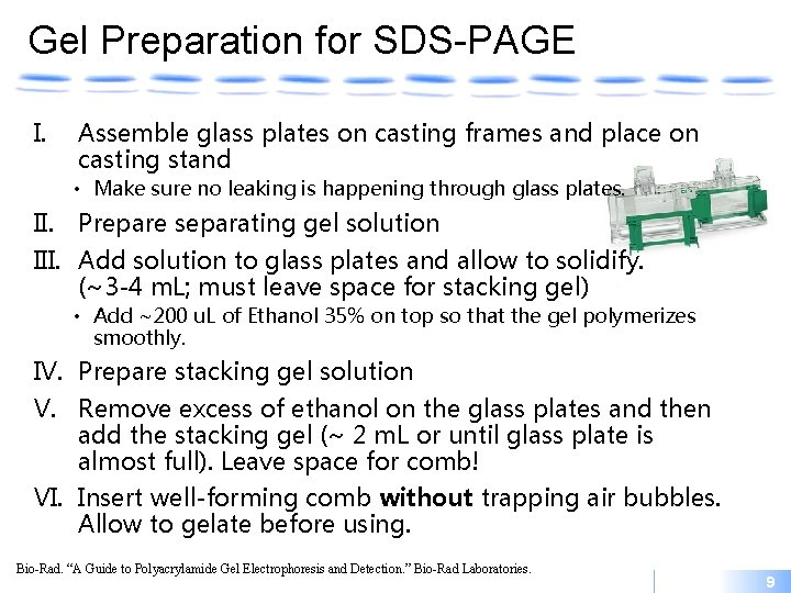 Gel Preparation for SDS-PAGE I. Assemble glass plates on casting frames and place on