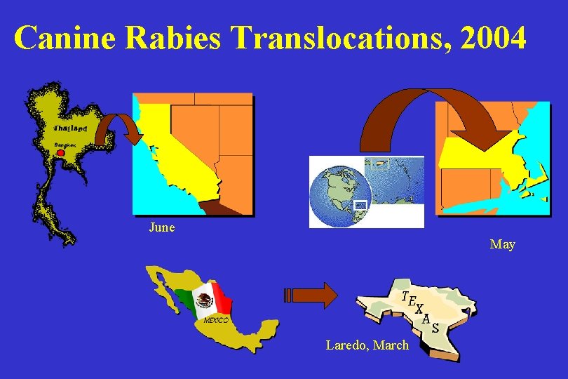 Canine Rabies Translocations, 2004 June May Laredo, March 